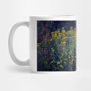 King's Park Flowers 2 Mug